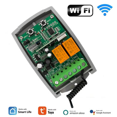 Receptor Wifi Tuya 433mhz De 2 Canales 12-24V