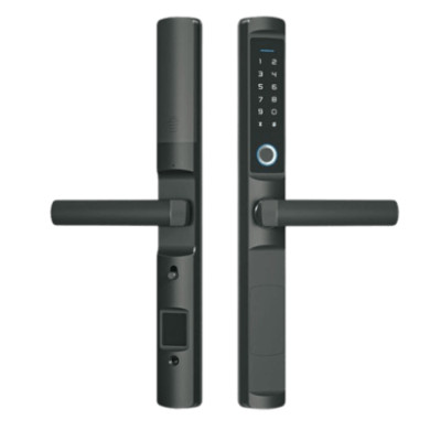 Cerradura Inteligente / ZigBee / IP65 / 5 Métodos de Acceso / 100 Huel