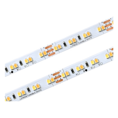 Kit de Tira LED / Blanco Ajustable 2500K-5000K / 5 m (16.4 ft) / CRI 9