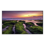 Pantalla Profesional LED de 65" para marketing digital / UHD 4K (3840x