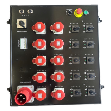 Controlador de Polipastos 10 Vías | Control Directo Trifásico 110V | R